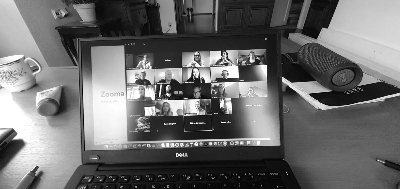 Working from home - Thoughts and tips from the Zoomers